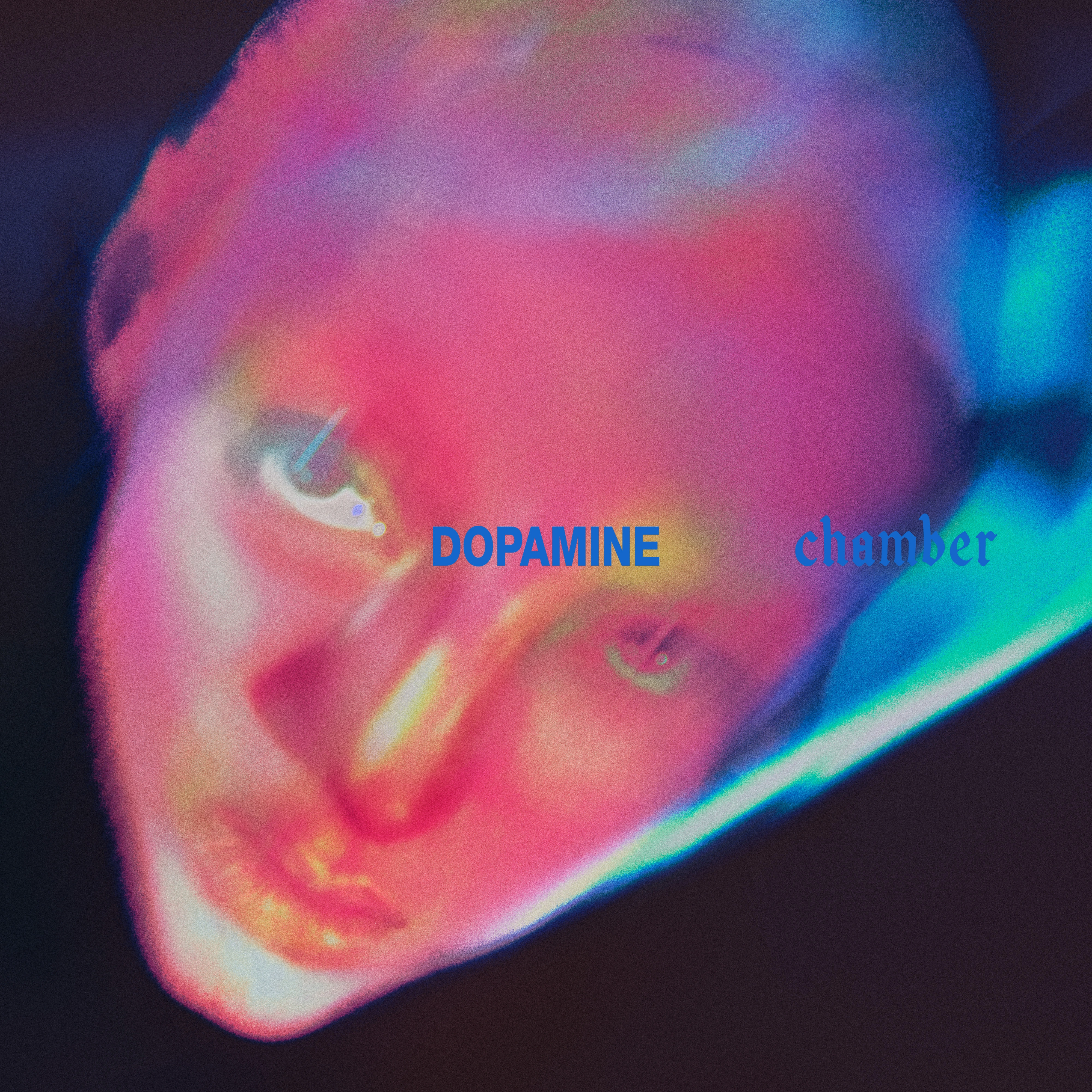 Fontaines D.C. — Dopamine Chamber 앨범 커버